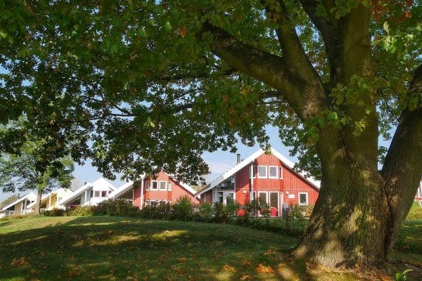 Ferienhaus Seerose 1. Reihe zum See mit Whirlpool in Wendisch Rietz