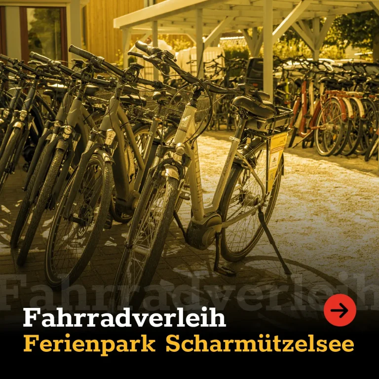 Fahrradverleih am Ferienpark Scharmützelsee in Wendisch Rietz