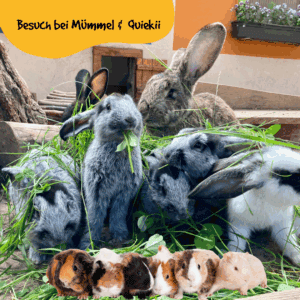 Besuch bei Mümmel & Quieki