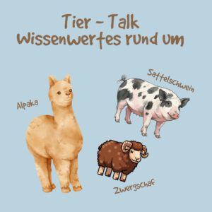 Tier - Talk