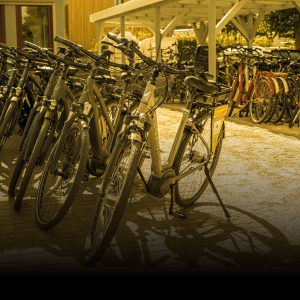 Fahrradverleih am Ferienpark Scharmützelsee in Wendisch Rietz